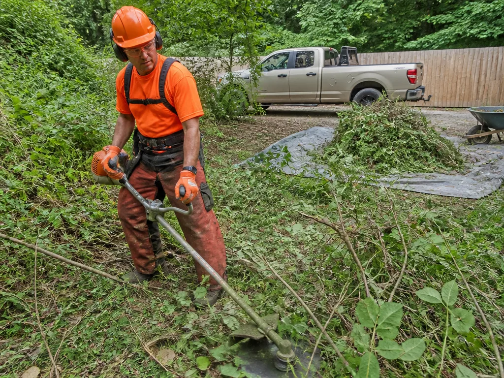 Land Clearing